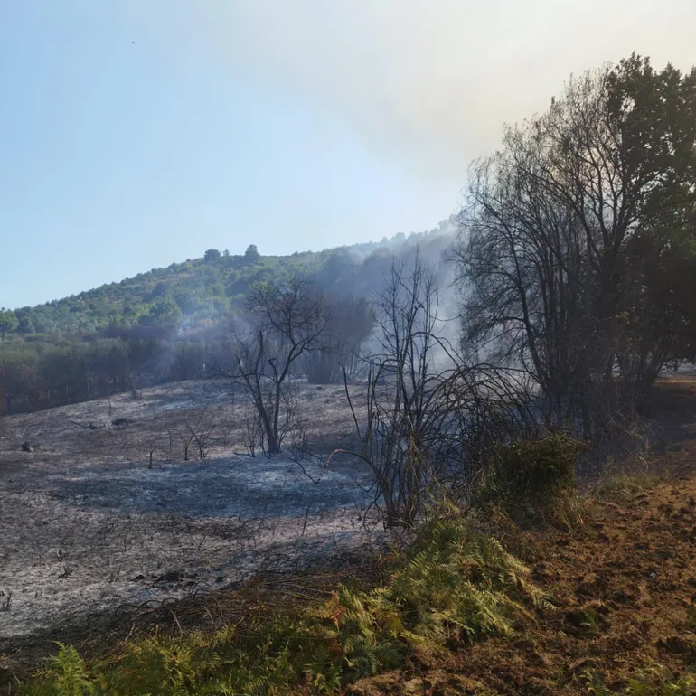 Incendi-Artena-20240810-11-12-02