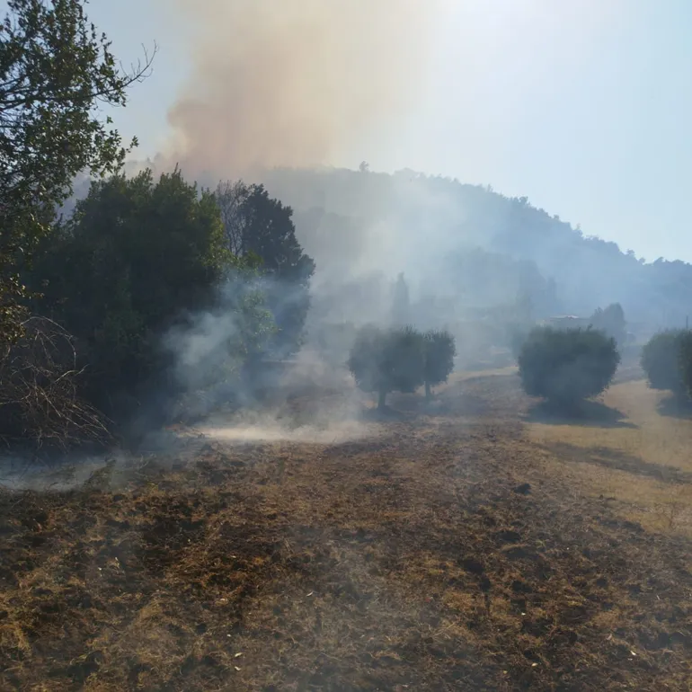 Incendi-Artena-20240810-11-12-03